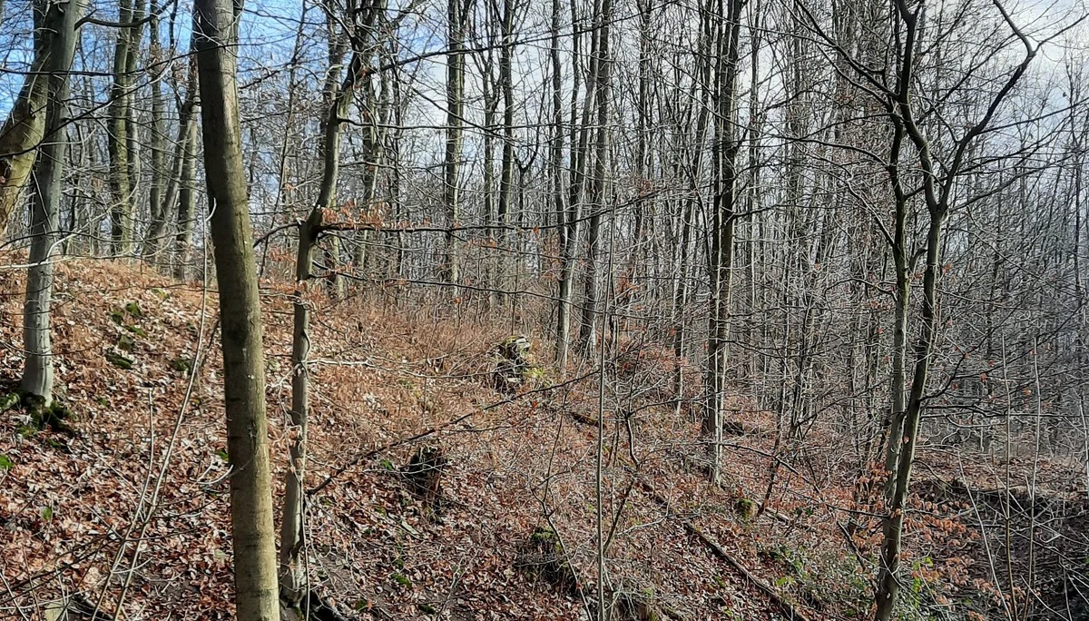 © DAV Sektion Paderborn