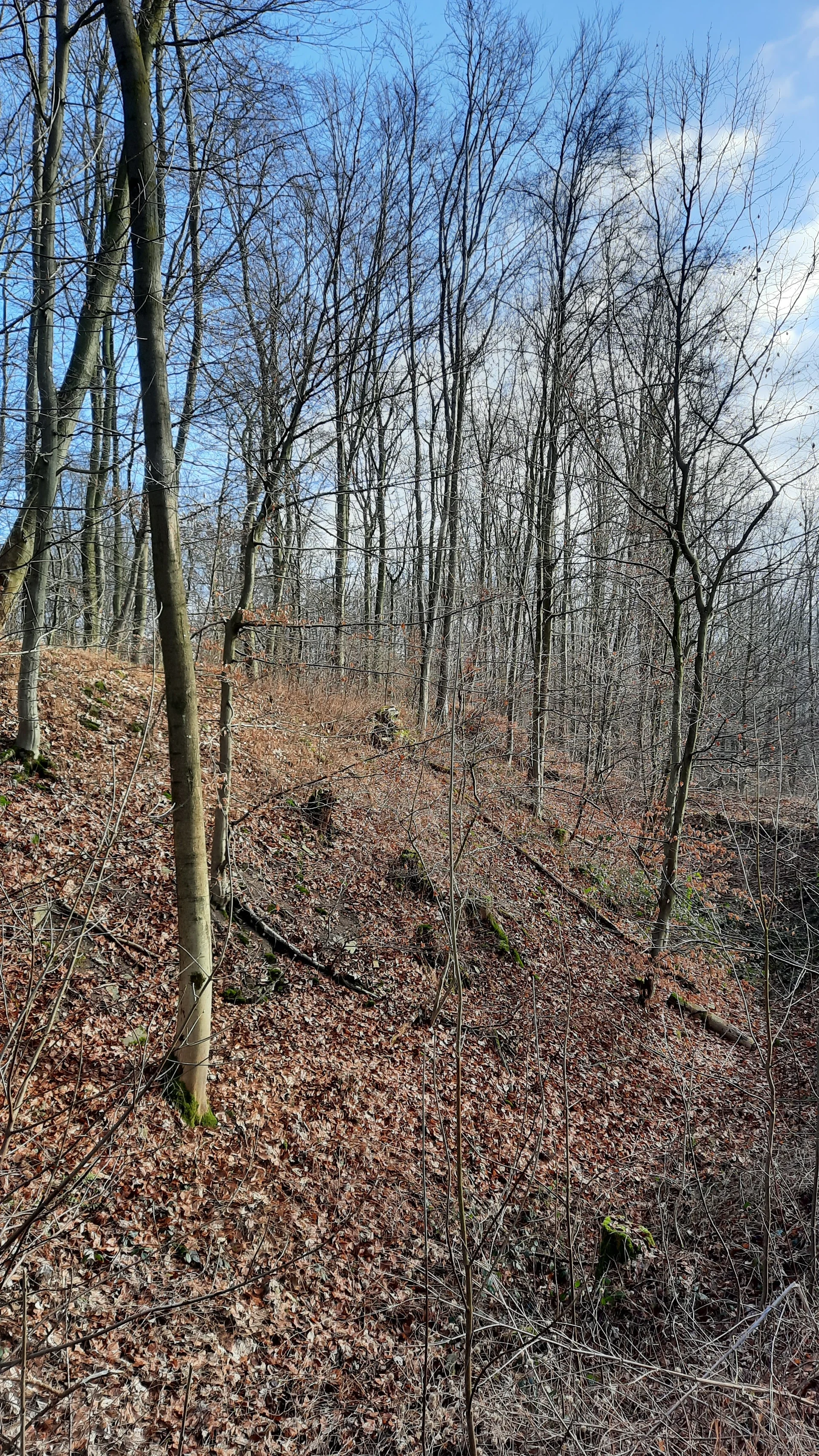 © DAV Sektion Paderborn