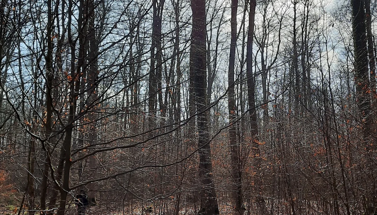 © DAV Sektion Paderborn