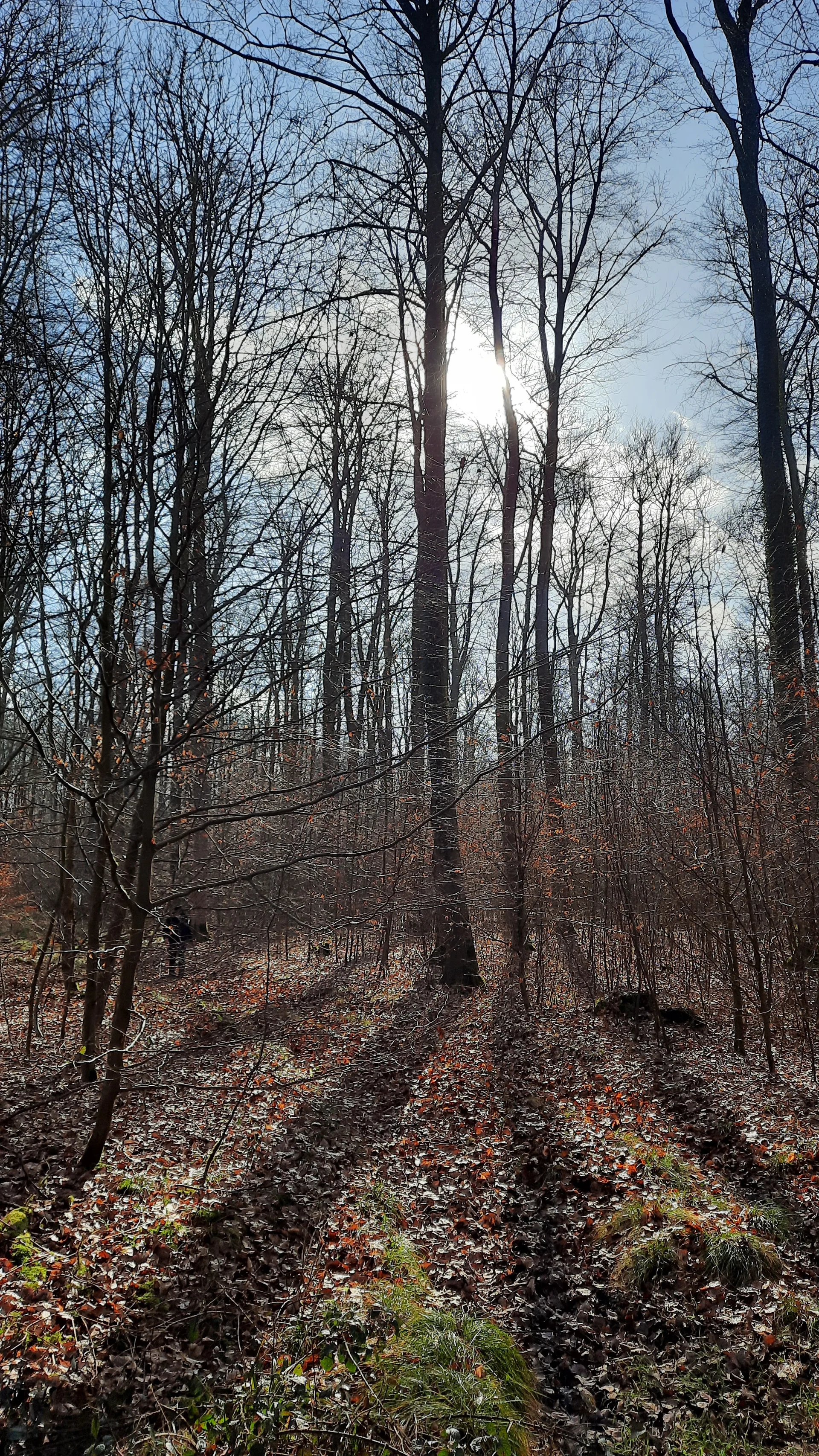 © DAV Sektion Paderborn