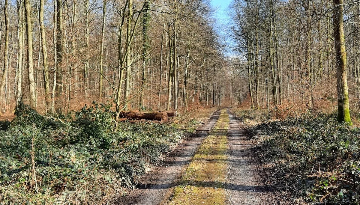 © DAV Sektion Paderborn