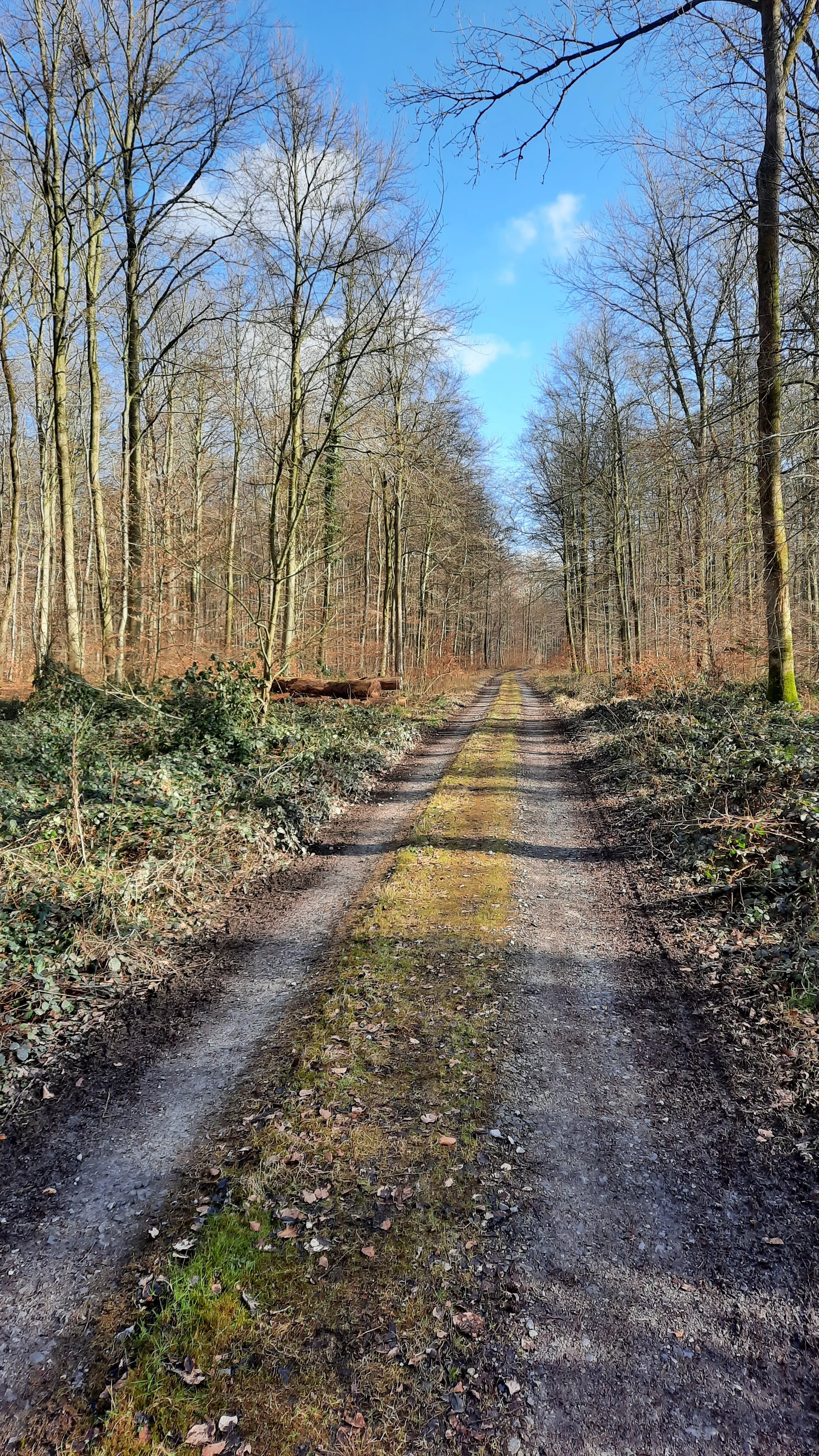 © DAV Sektion Paderborn