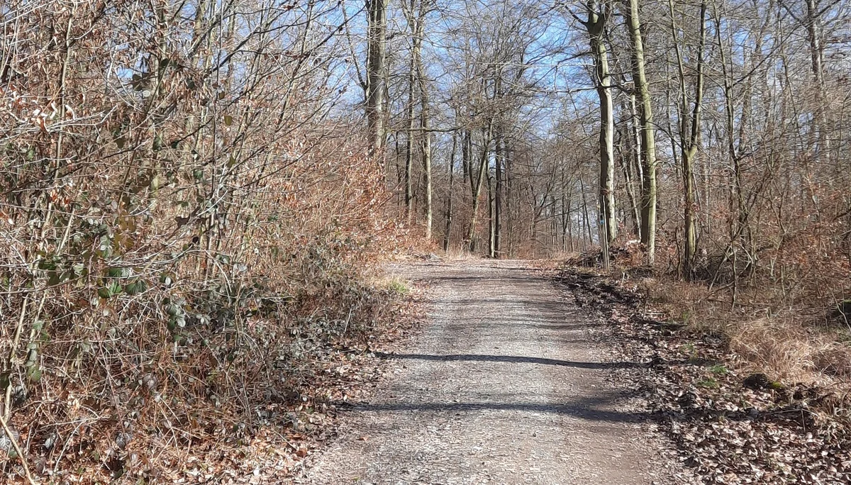 © DAV Sektion Paderborn