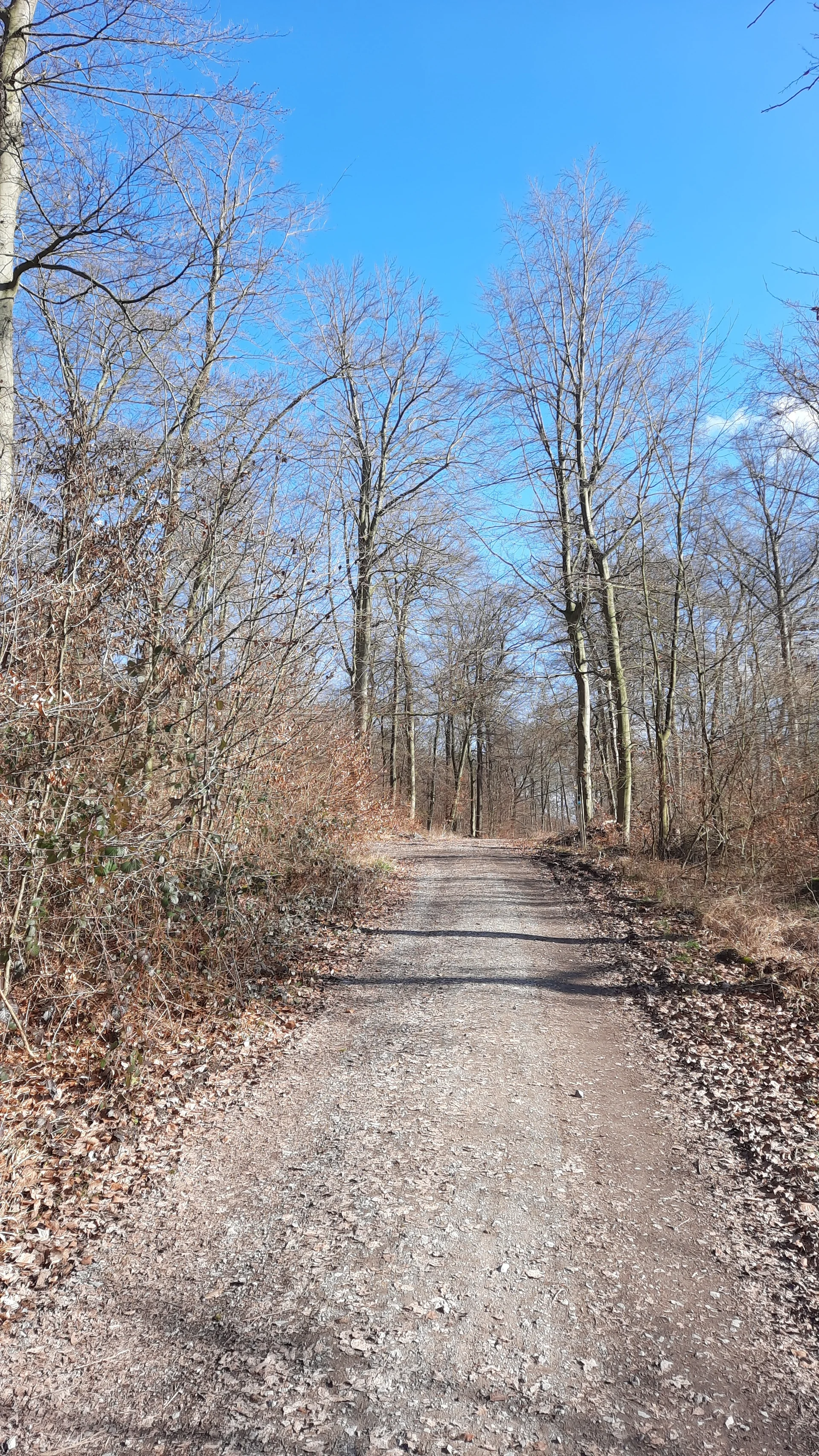 © DAV Sektion Paderborn