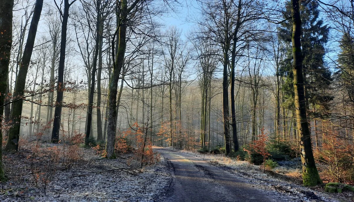 © DAV Sektion Paderborn