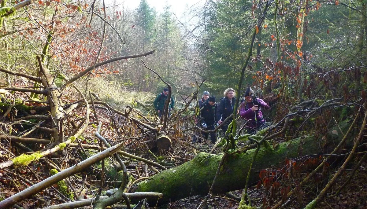 © DAV Sektion Paderborn