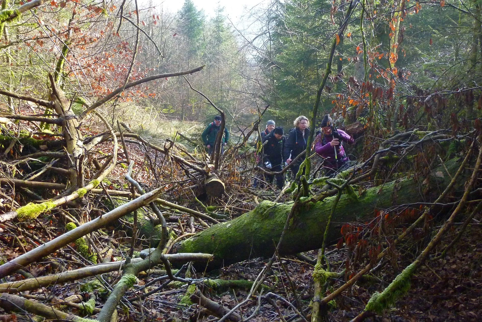 © DAV Sektion Paderborn