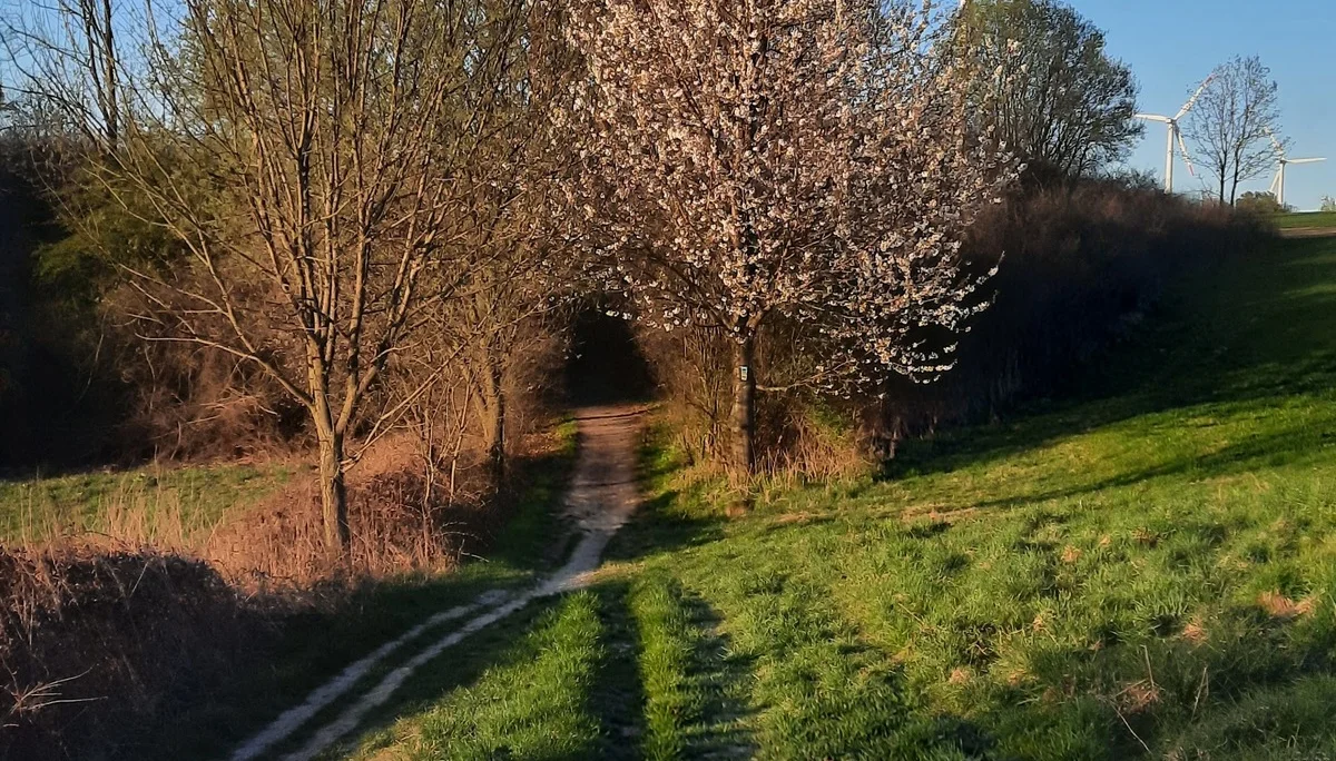 © DAV Sektion Paderborn