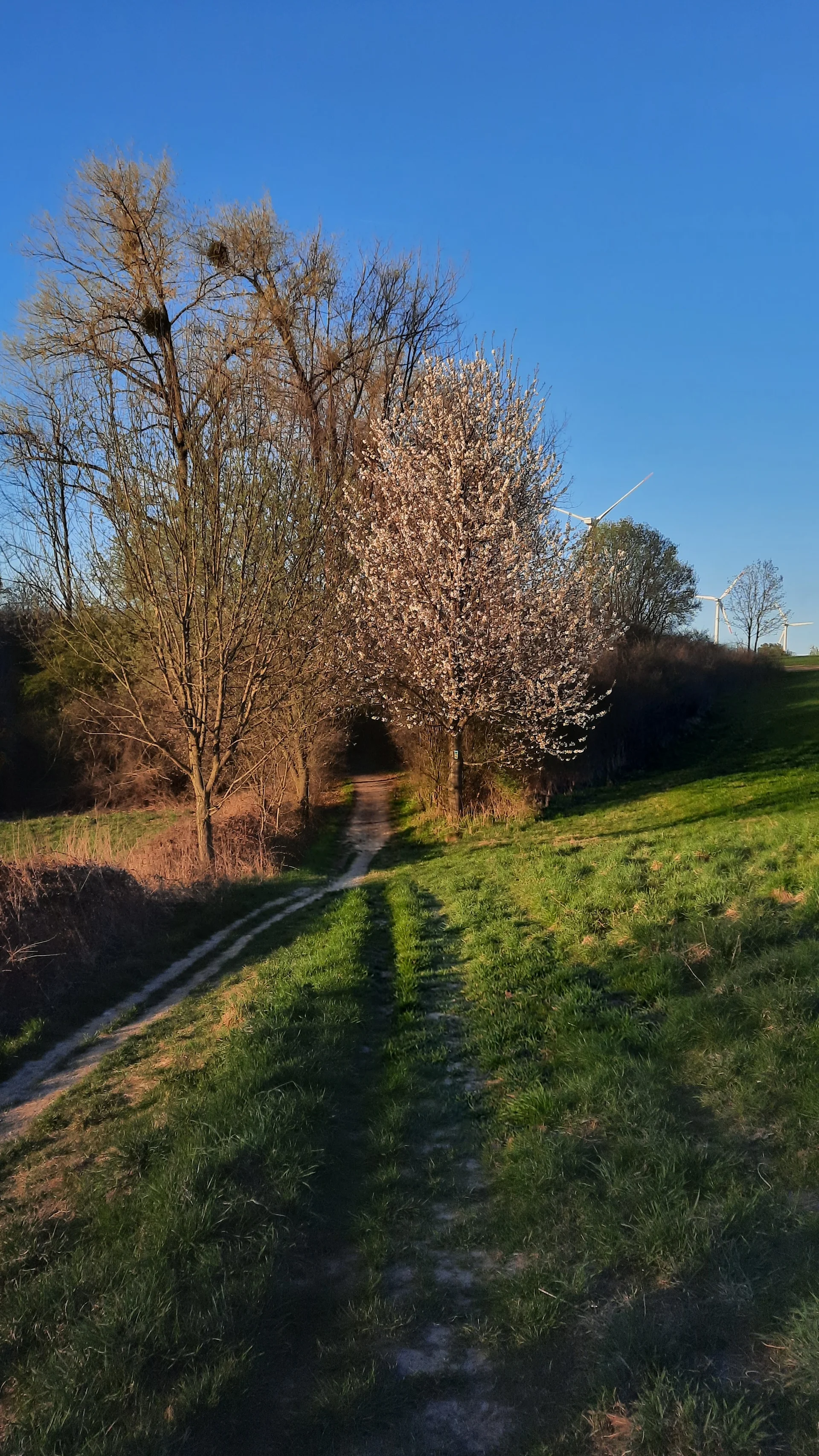 © DAV Sektion Paderborn