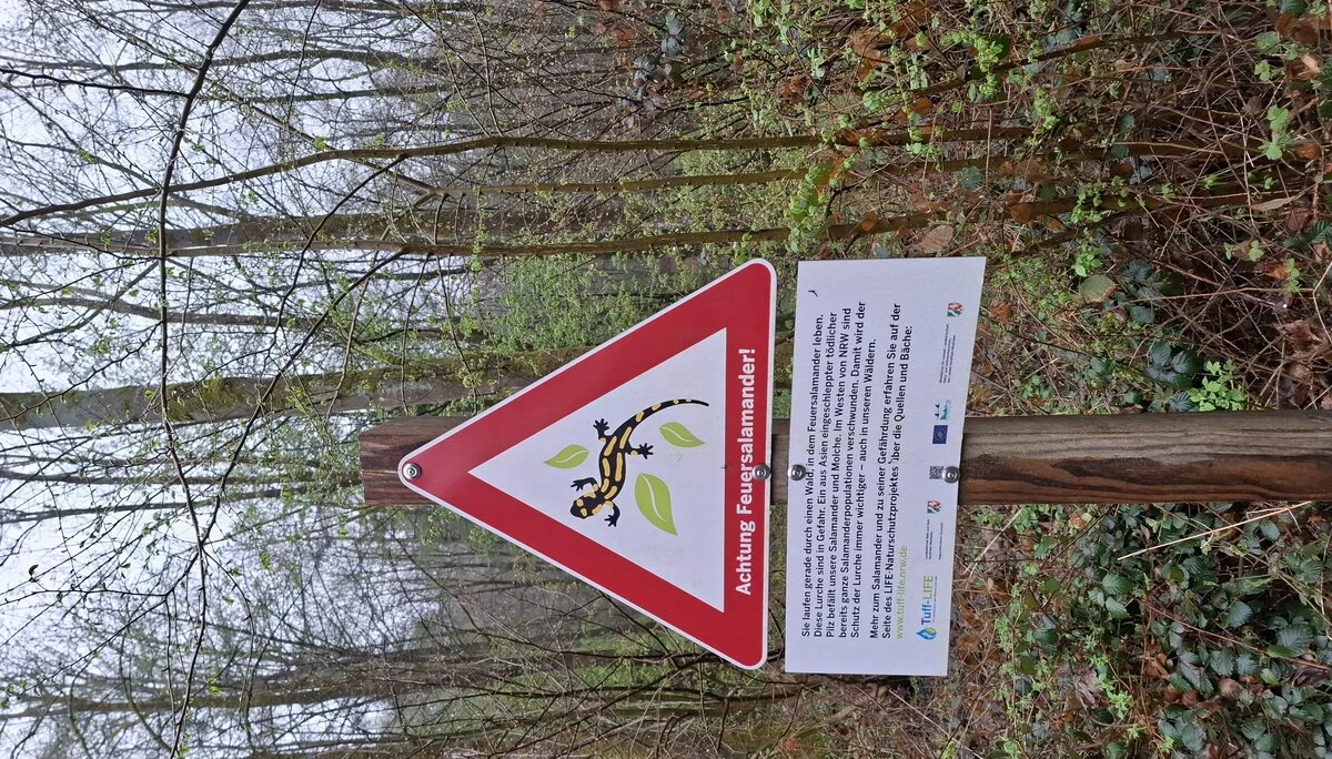 © DAV Sektion Paderborn