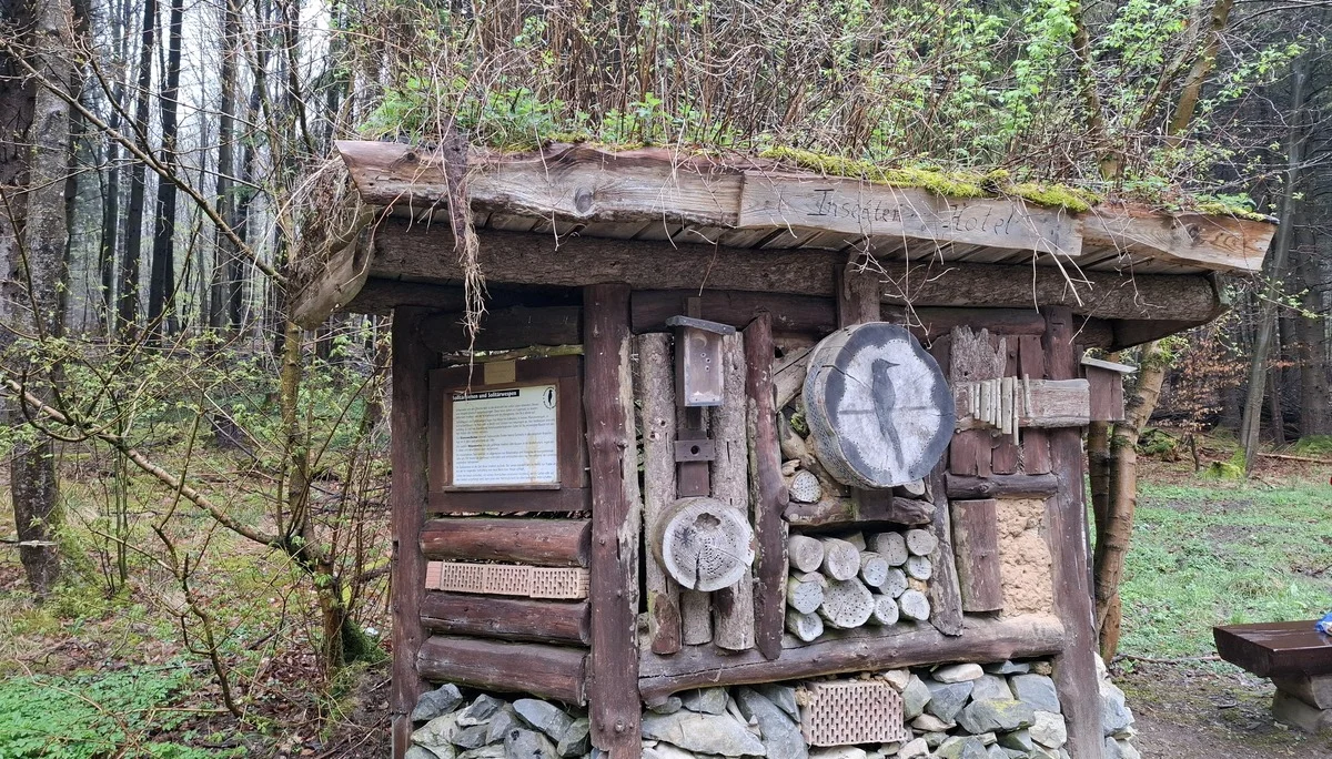 © DAV Sektion Paderborn