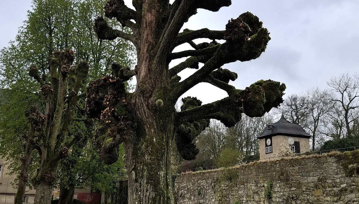 © DAV Sektion Paderborn