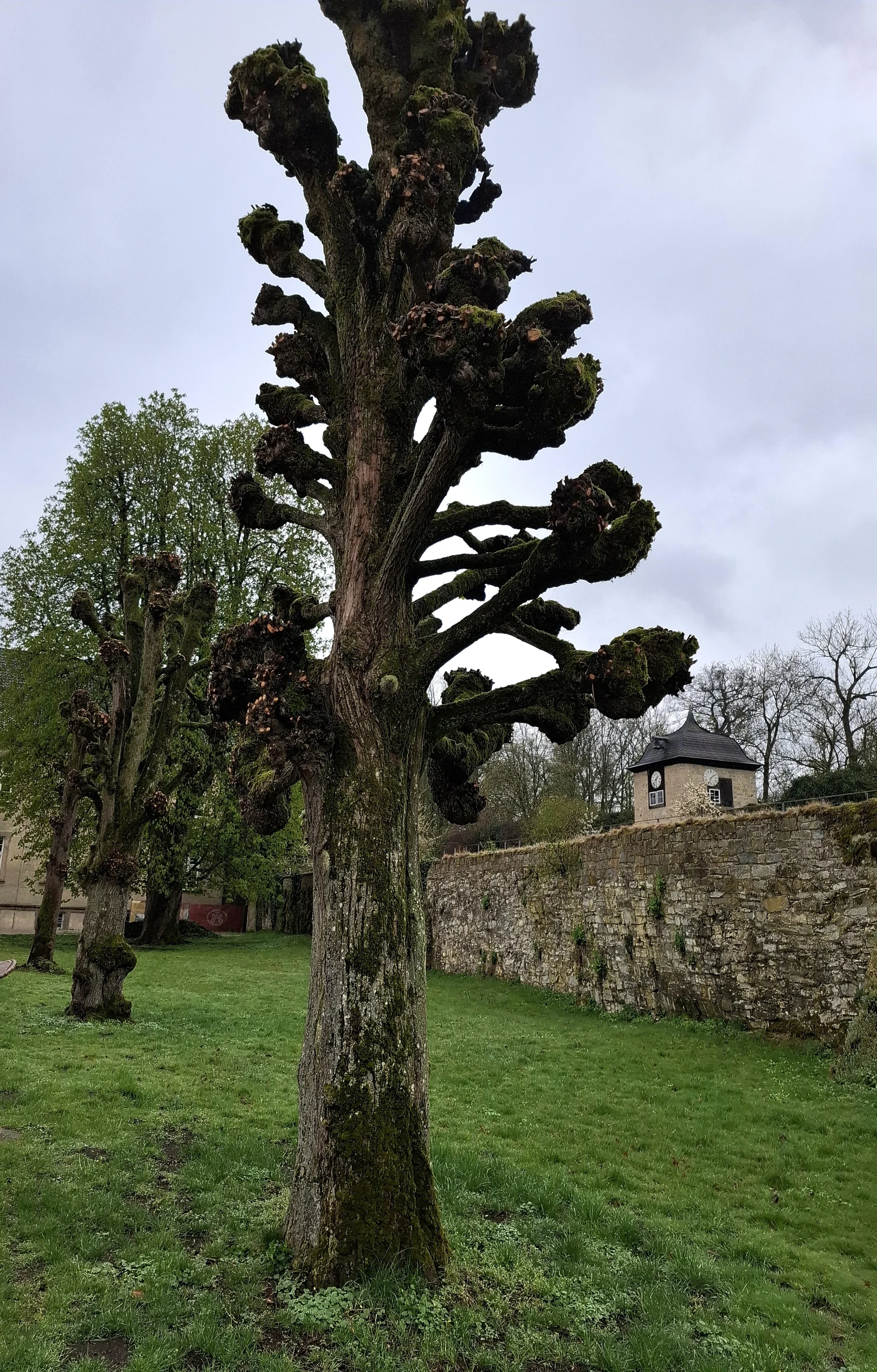 © DAV Sektion Paderborn