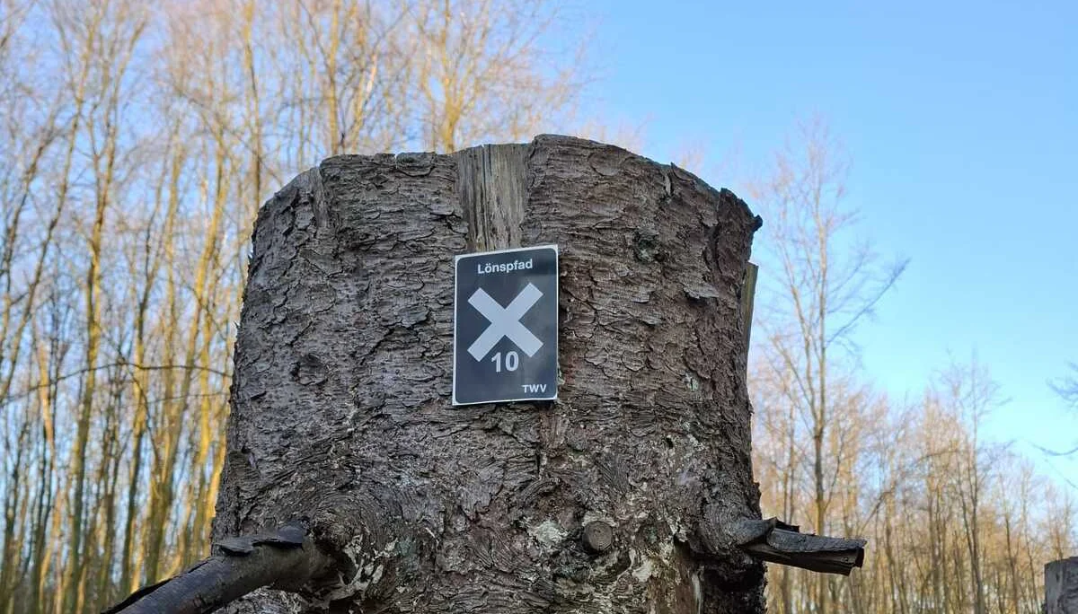 © DAV Sektion Paderborn