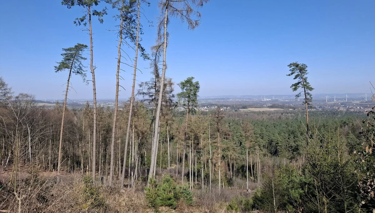 © DAV Sektion Paderborn