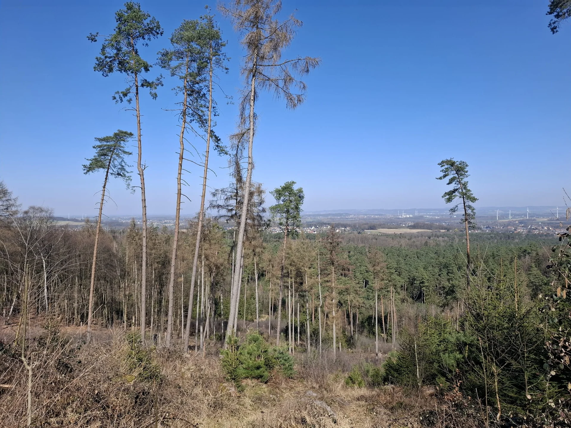 © DAV Sektion Paderborn