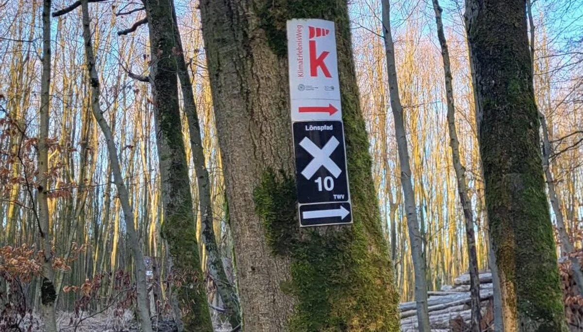 © DAV Sektion Paderborn