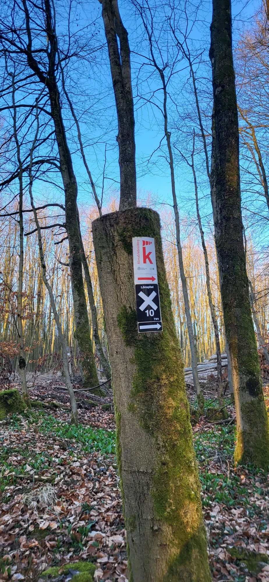 © DAV Sektion Paderborn