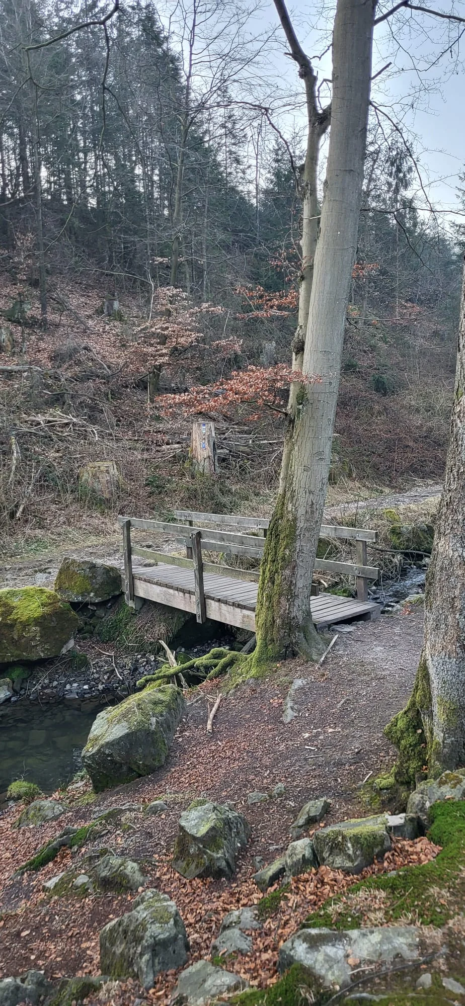 © DAV Sektion Paderborn