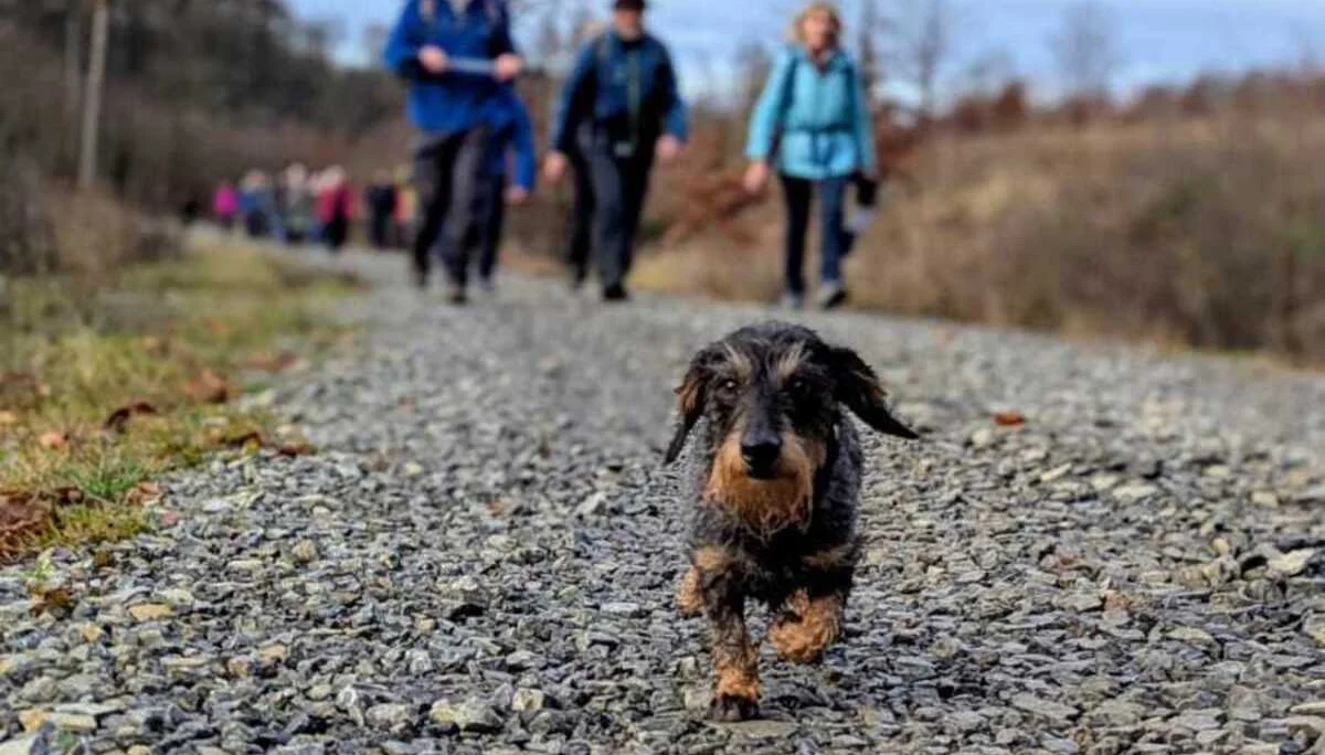 © DAV Sektion Paderborn