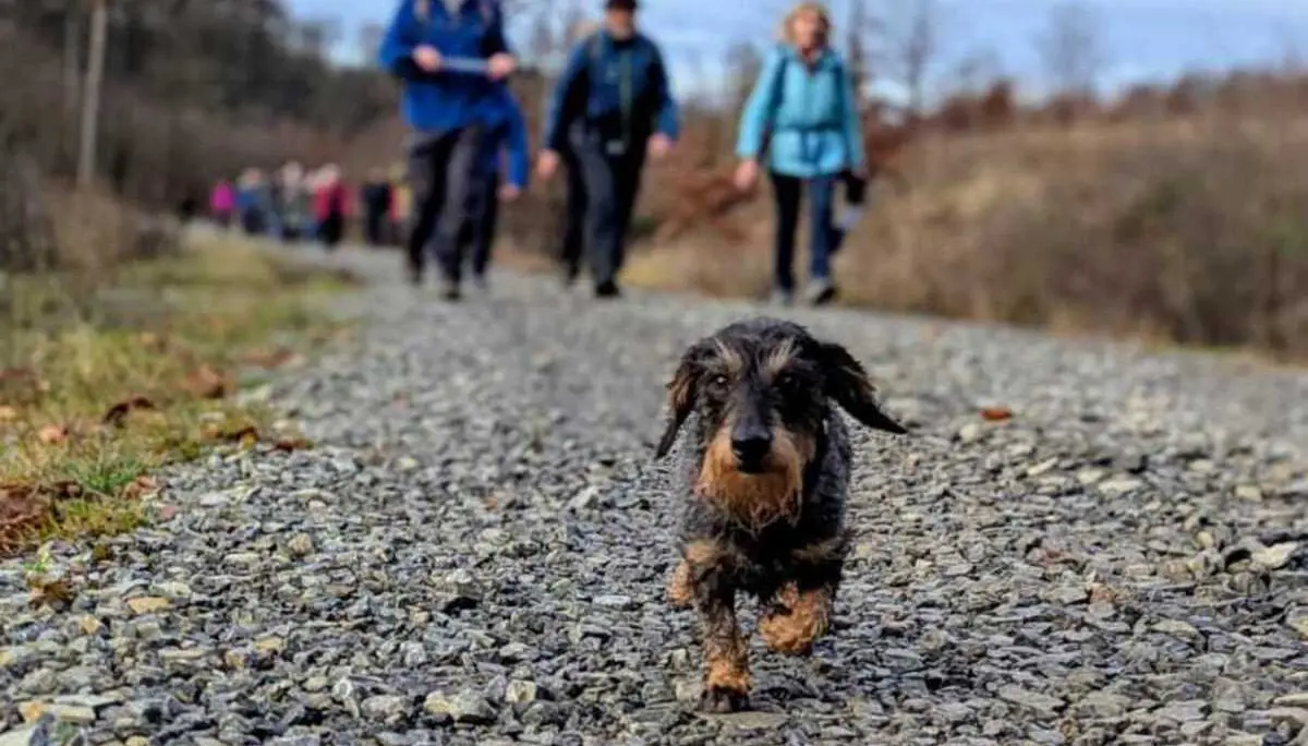 © DAV Sektion Paderborn