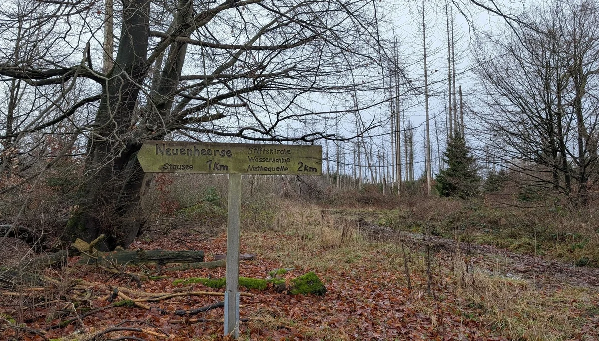 © DAV Sektion Paderborn