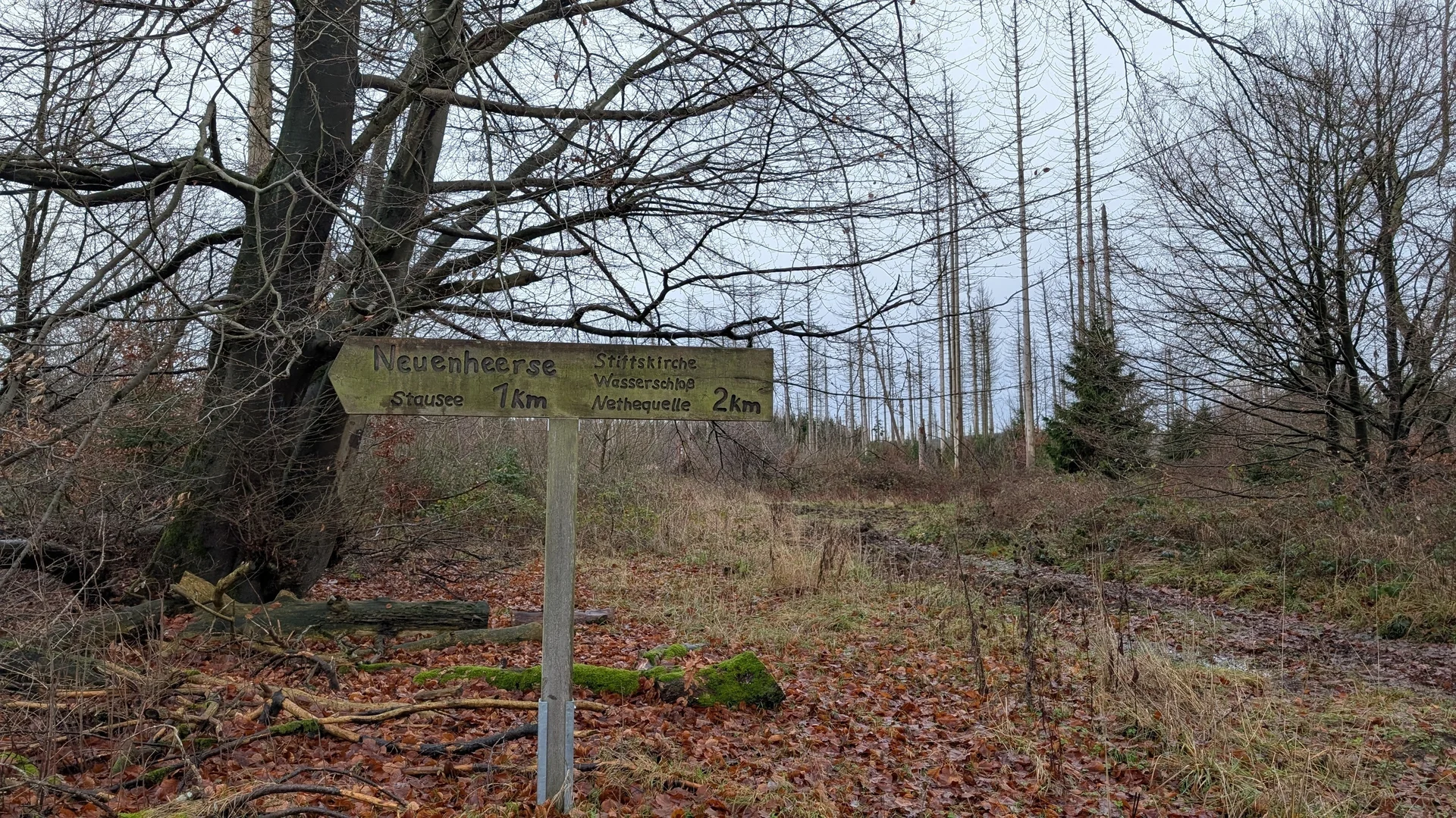 © DAV Sektion Paderborn