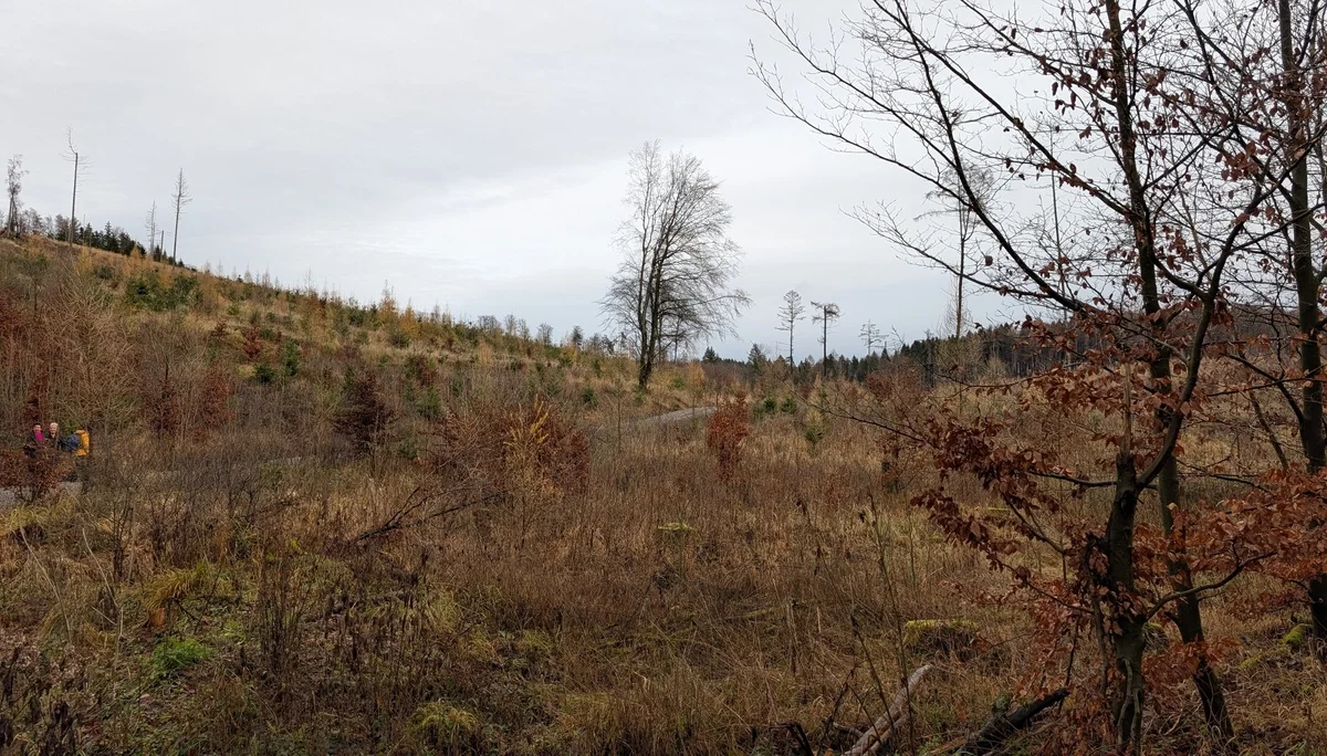 © DAV Sektion Paderborn