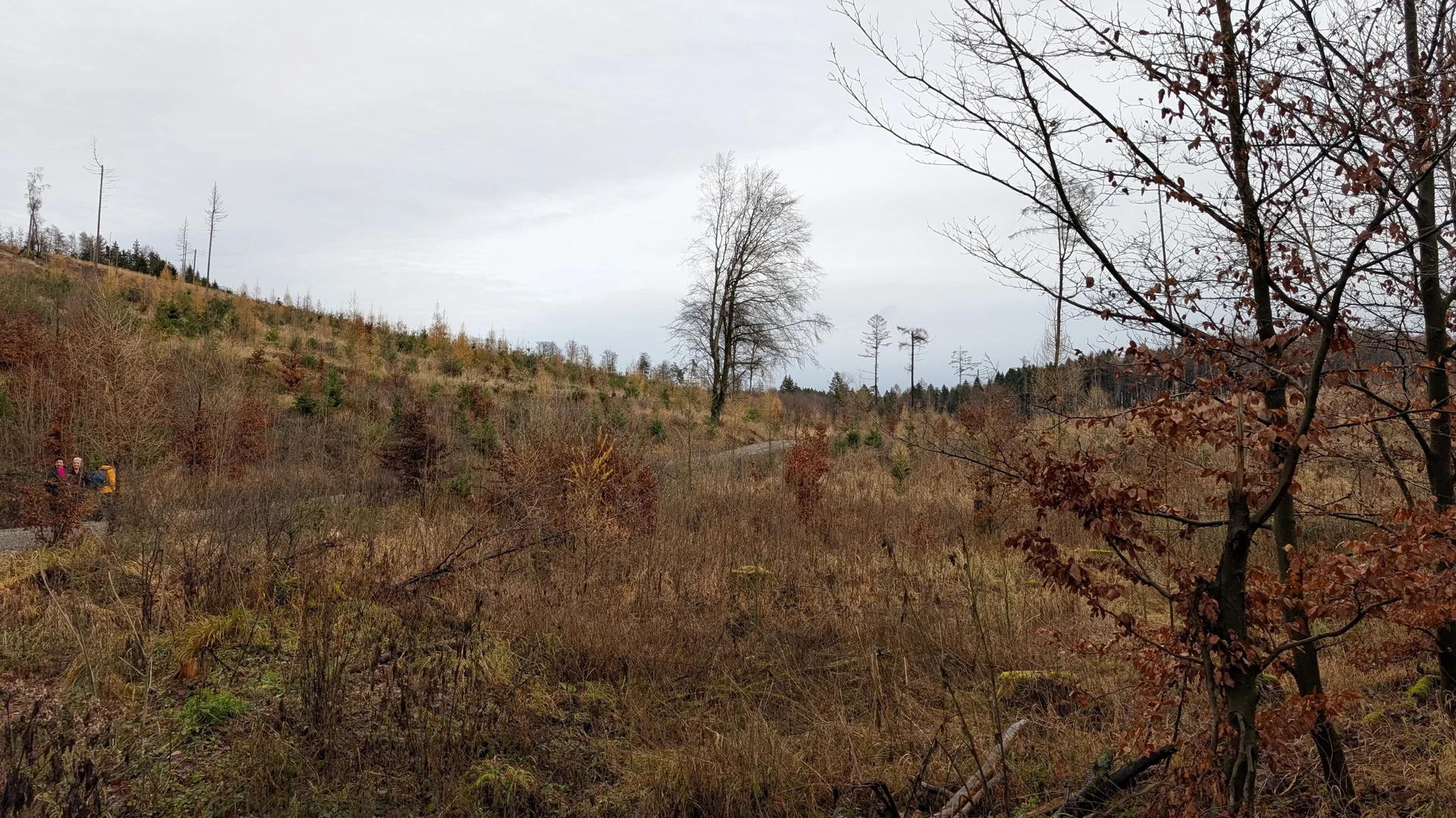 © DAV Sektion Paderborn