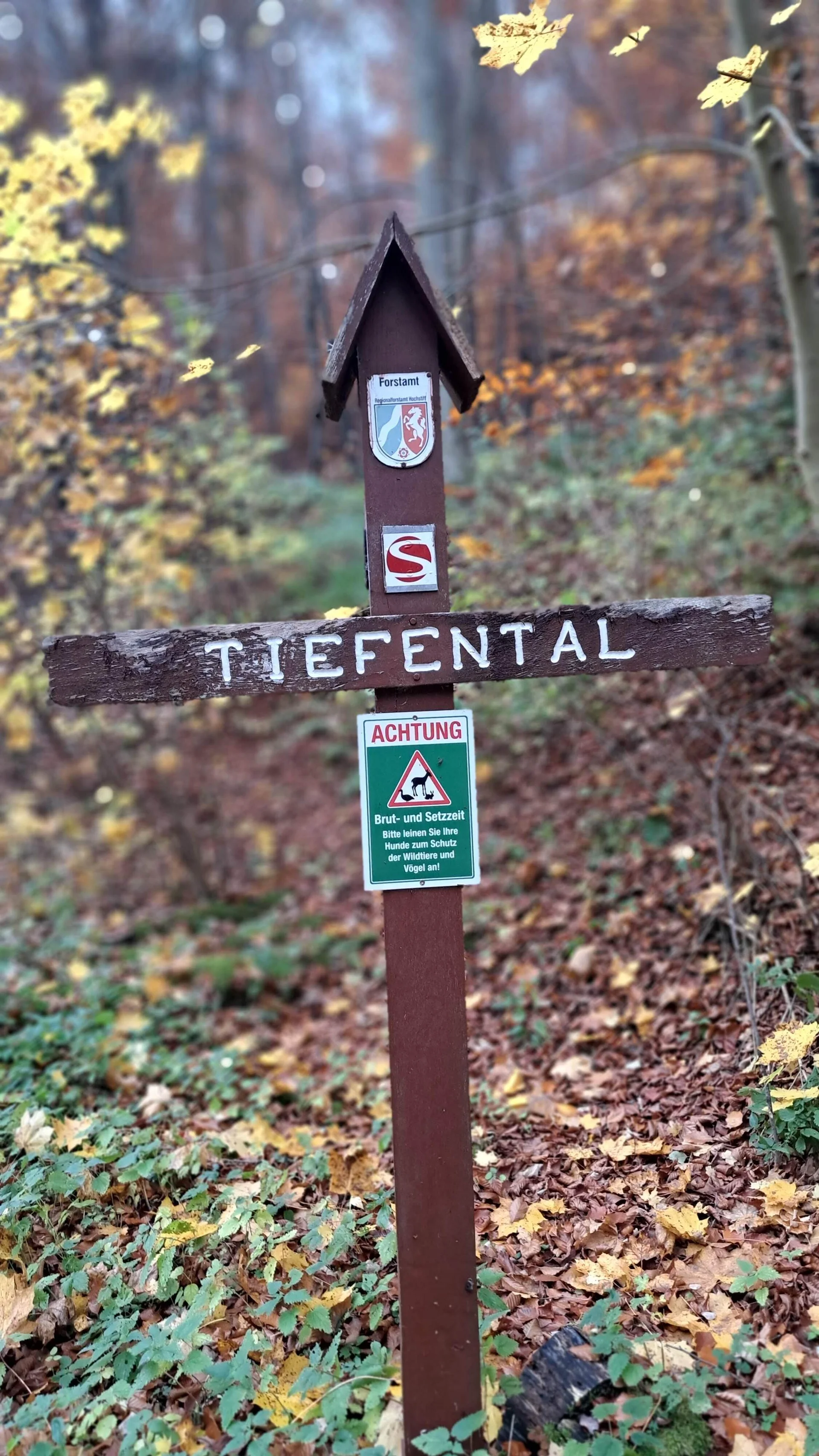 © DAV Sektion Paderborn