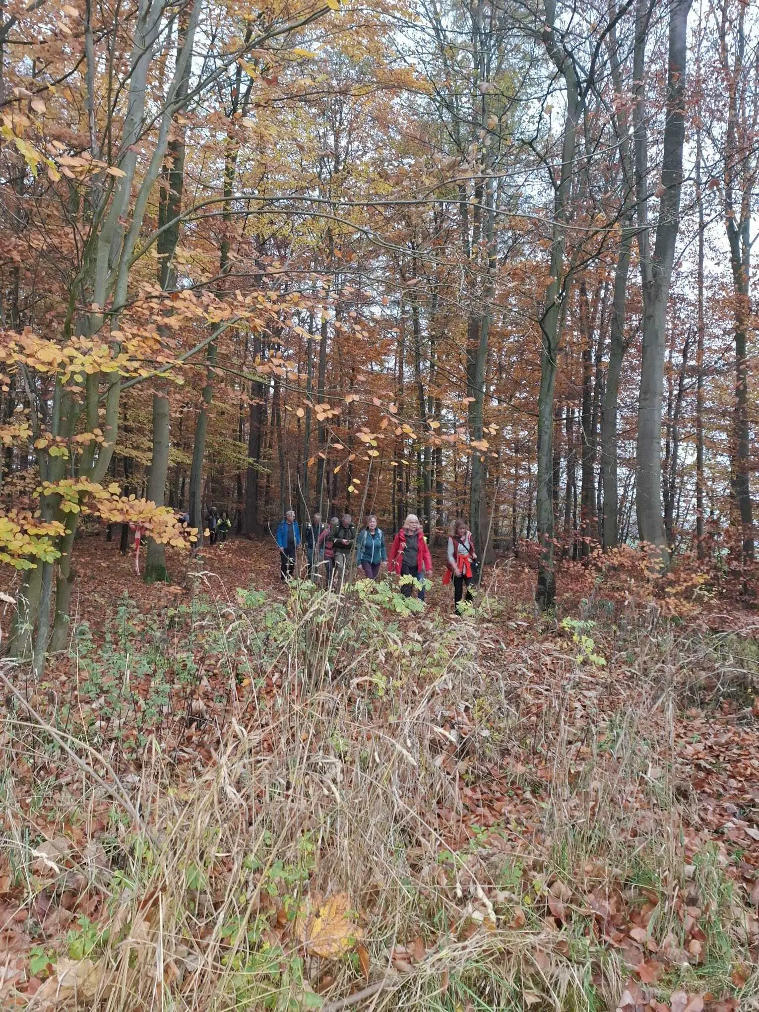 © DAV Sektion Paderborn