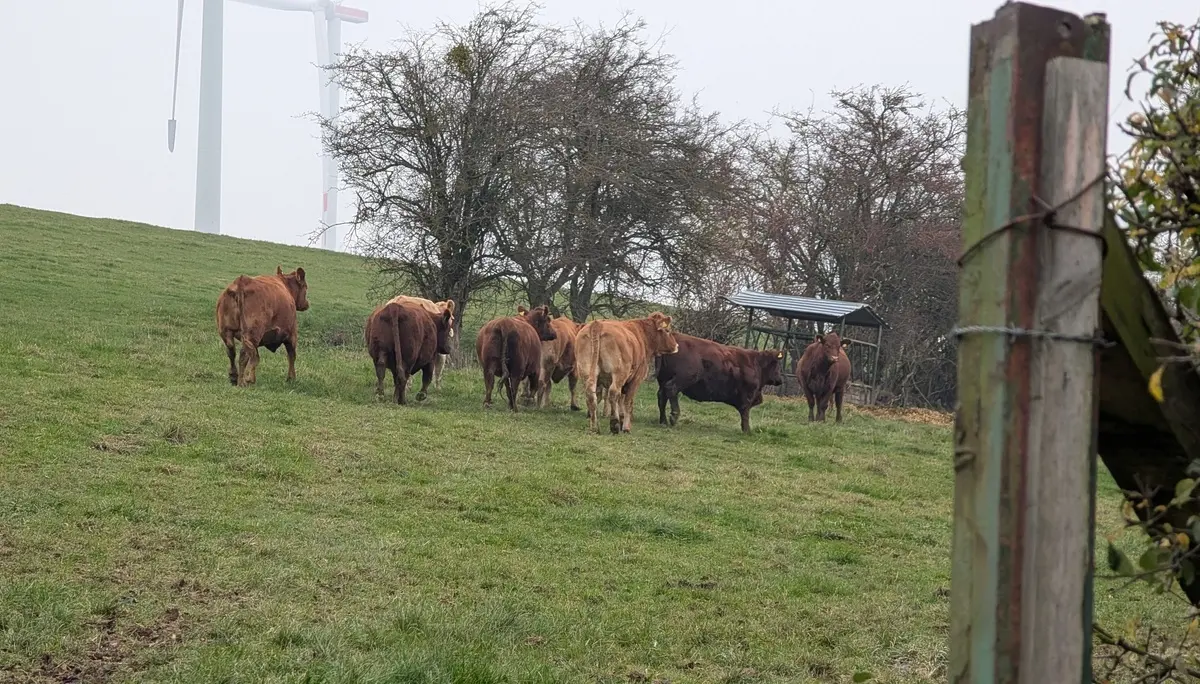 © DAV Sektion Paderborn