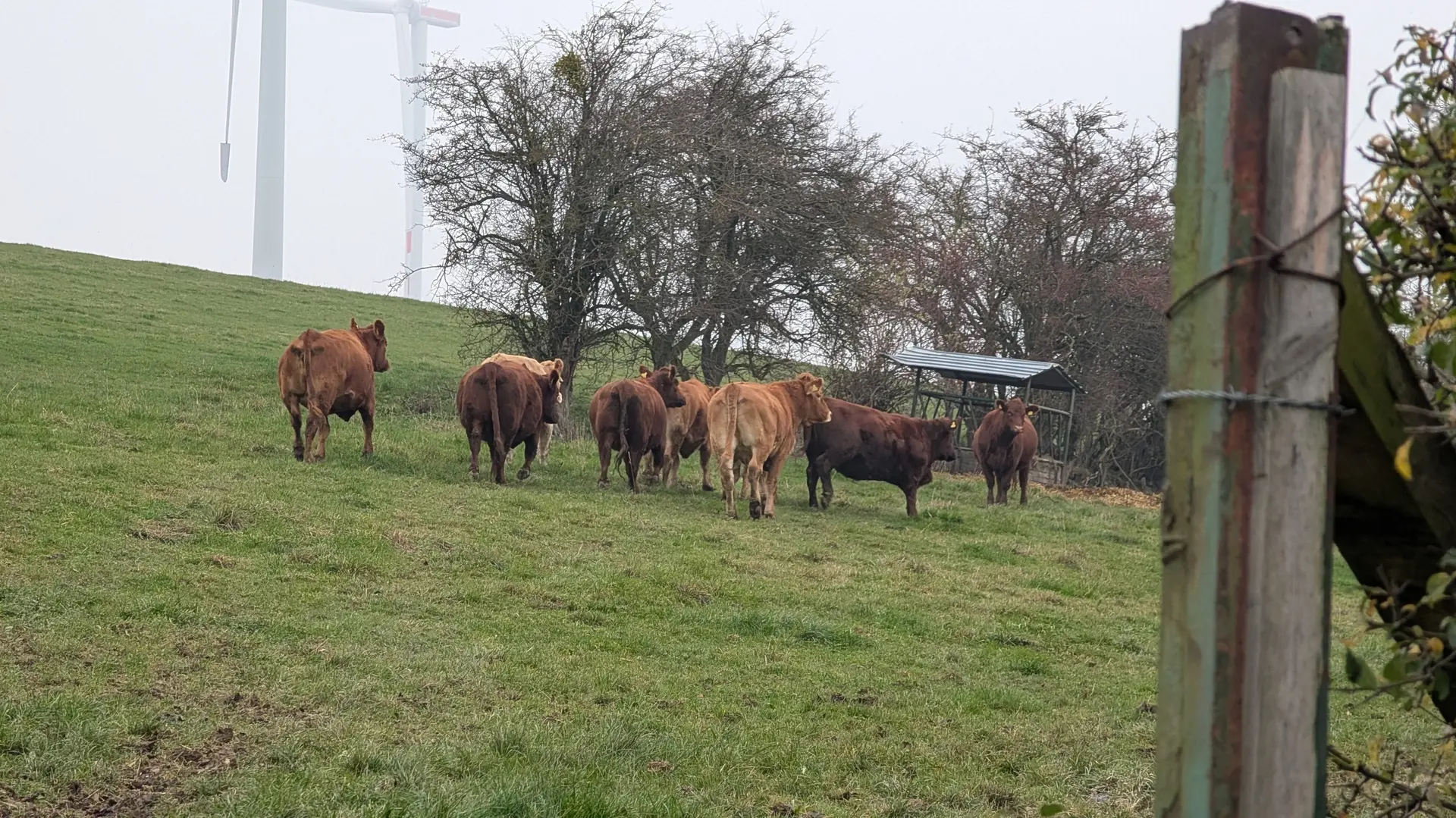 © DAV Sektion Paderborn