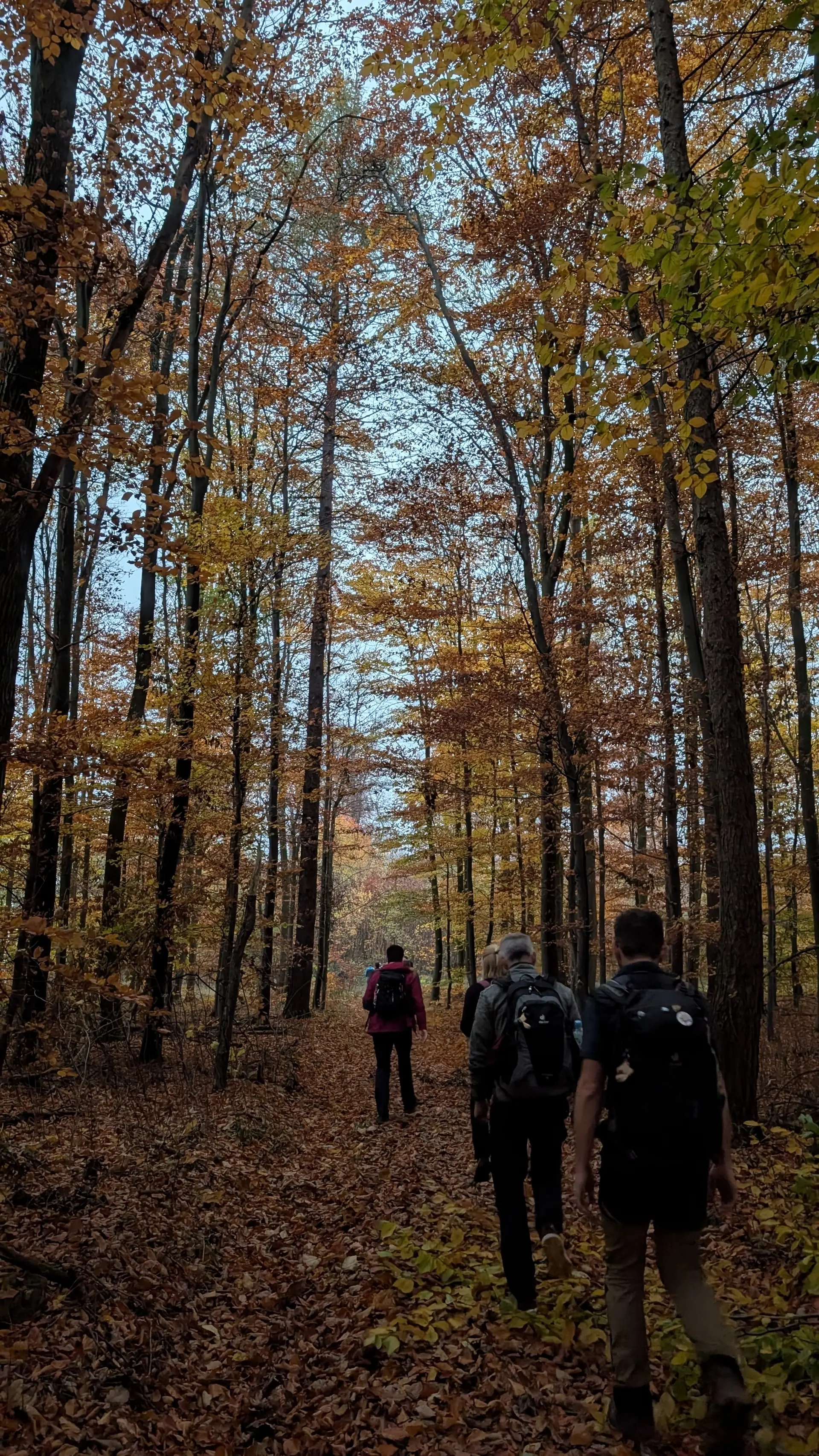 © DAV Sektion Paderborn