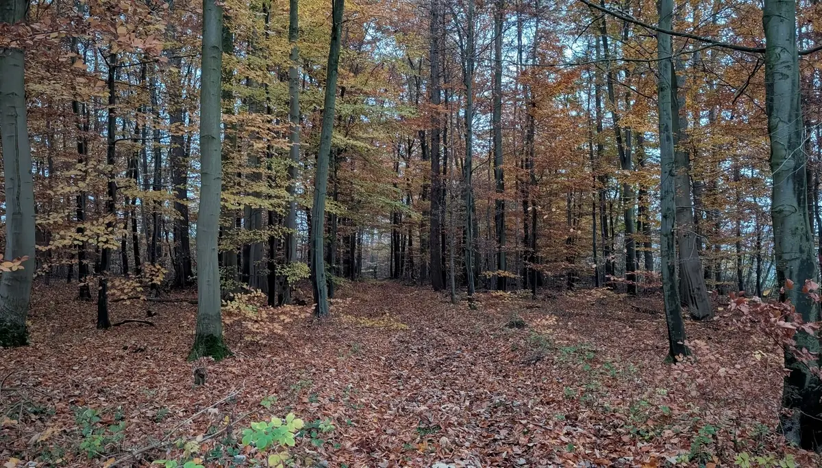 © DAV Sektion Paderborn