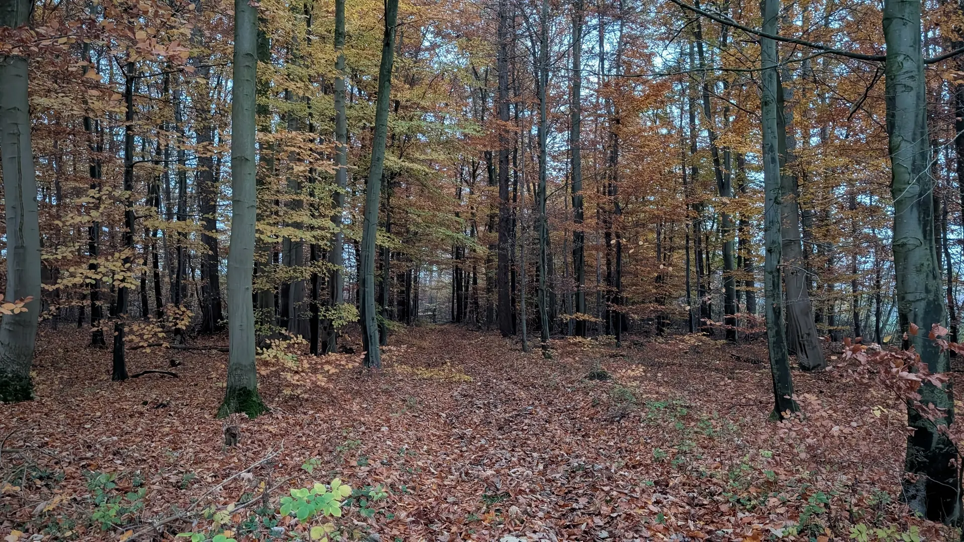 © DAV Sektion Paderborn