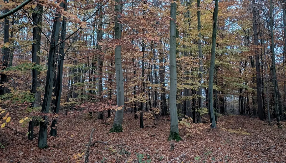 © DAV Sektion Paderborn