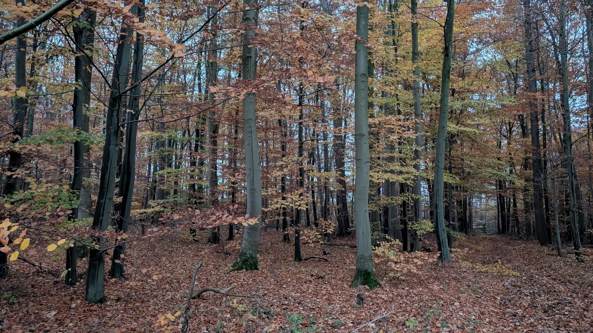 © DAV Sektion Paderborn