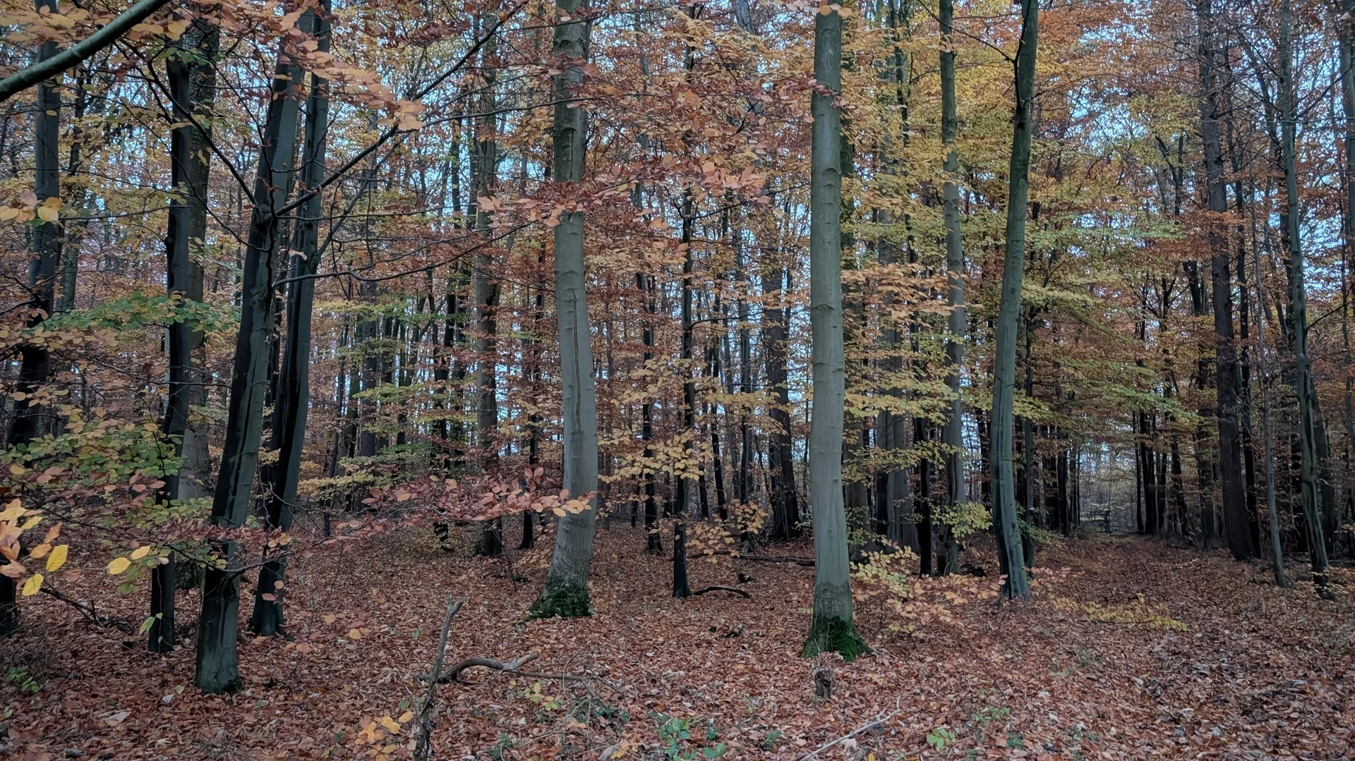 © DAV Sektion Paderborn