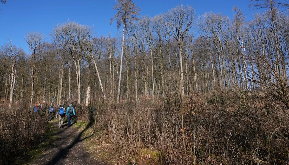 © DAV Sektion Paderborn