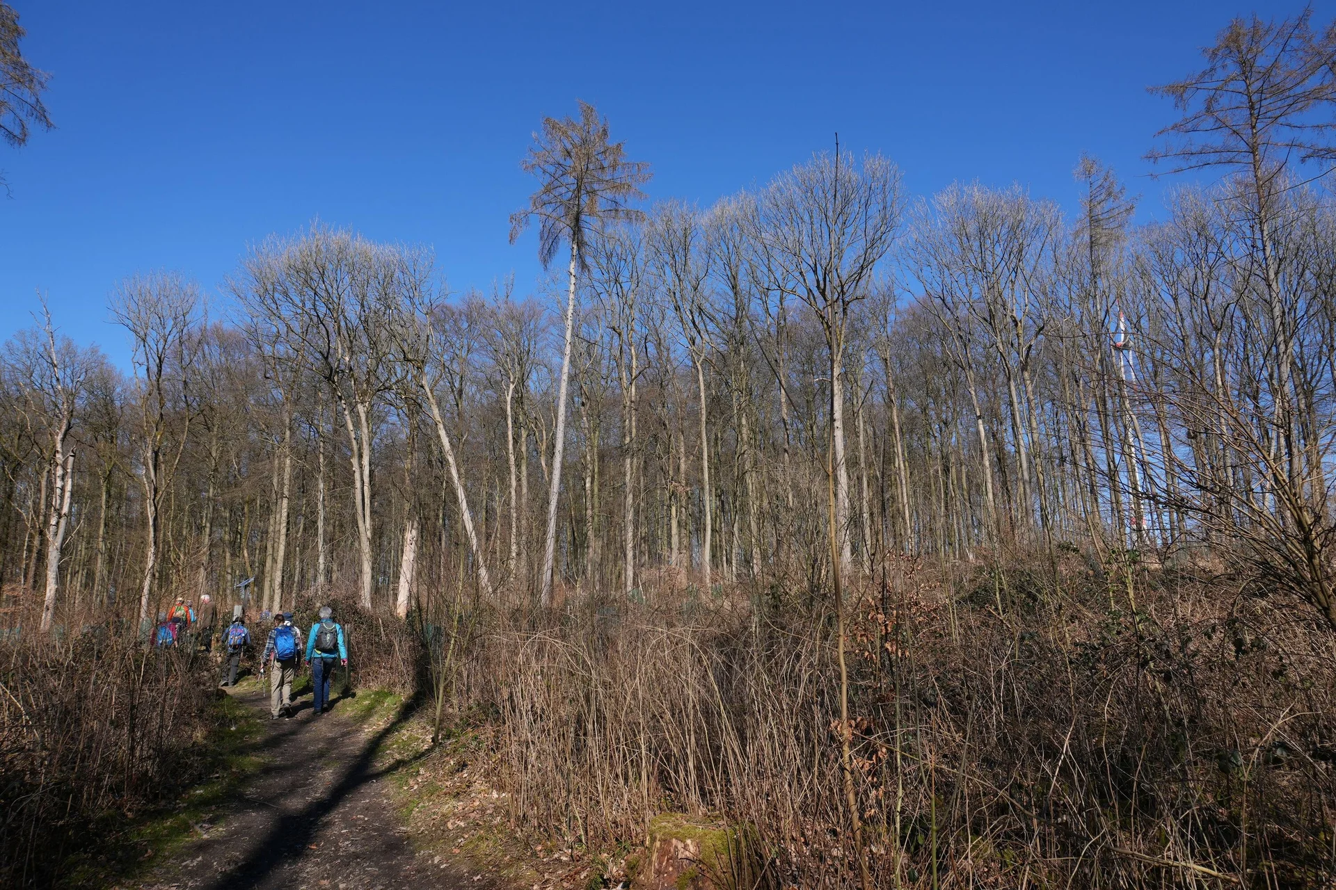 © DAV Sektion Paderborn