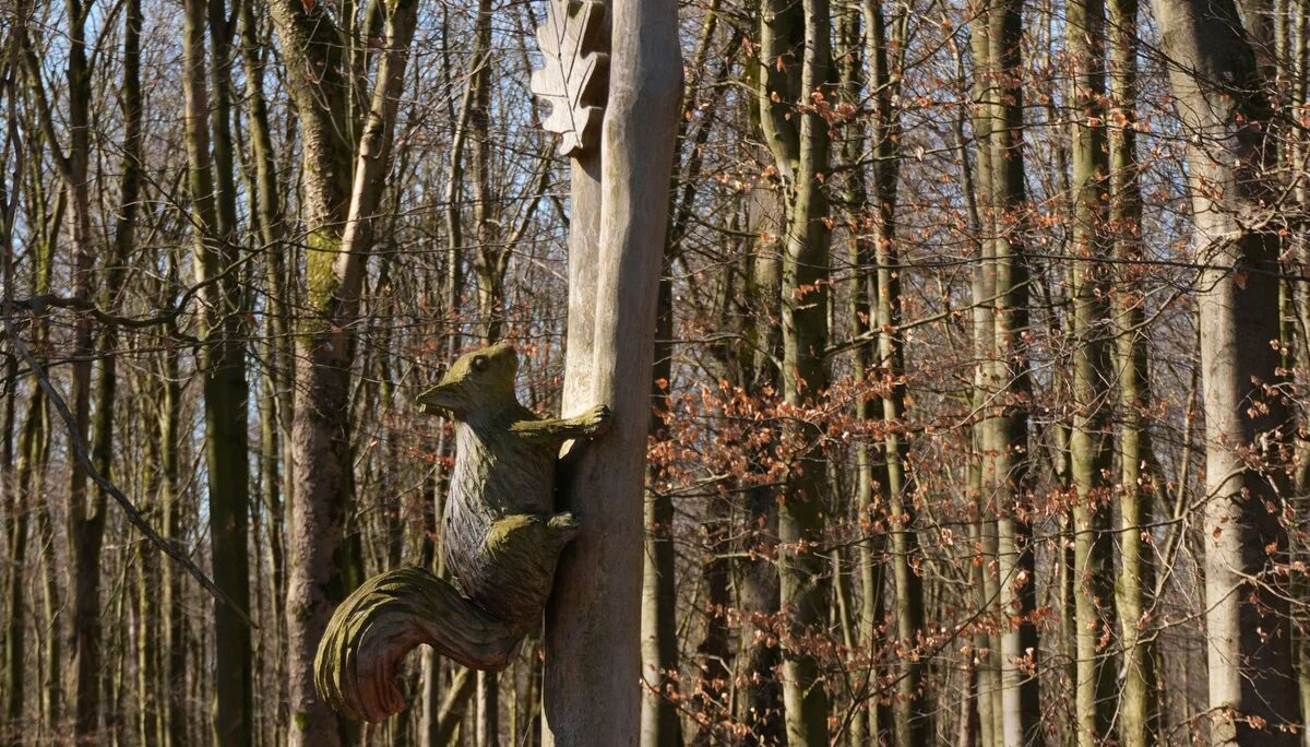 © DAV Sektion Paderborn