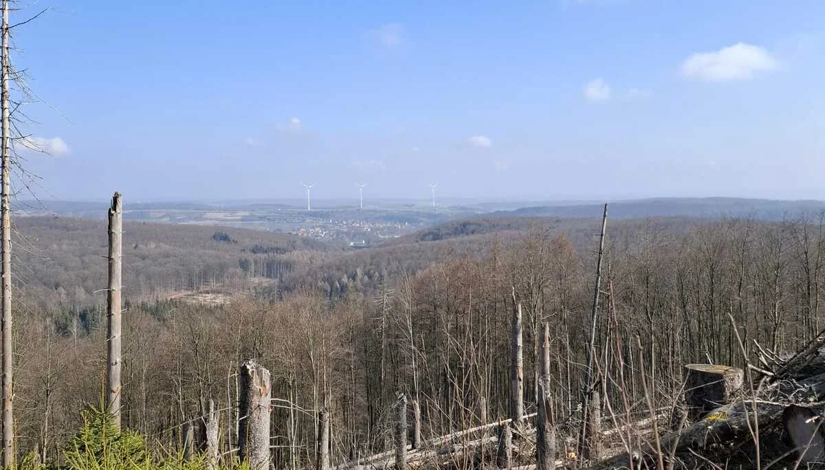 © DAV Sektion Paderborn