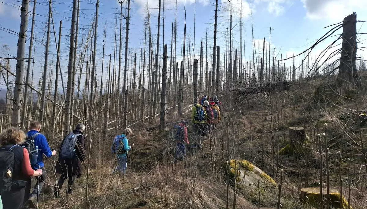 © DAV Sektion Paderborn