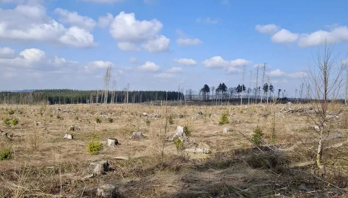 © DAV Sektion Paderborn