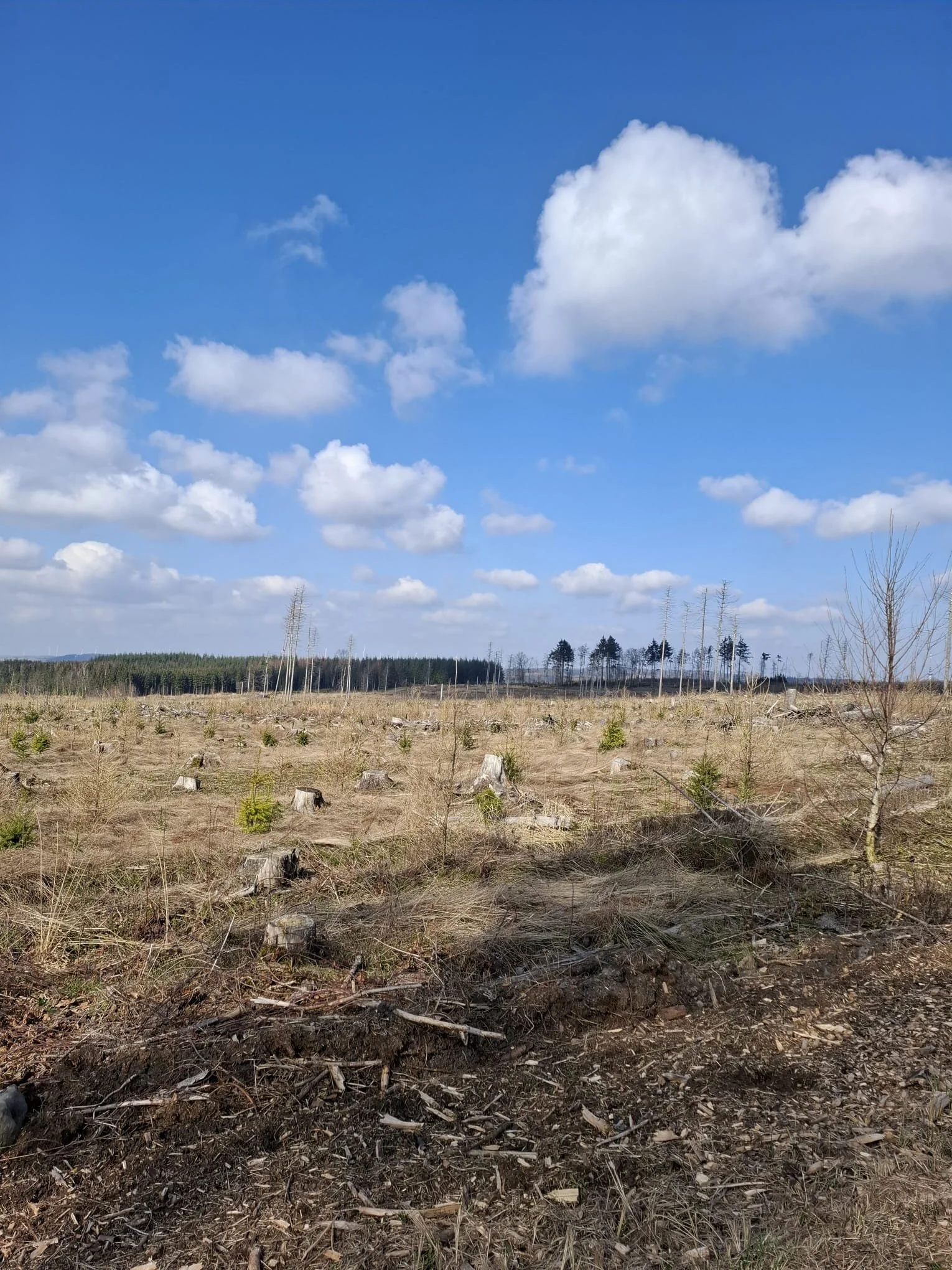 © DAV Sektion Paderborn