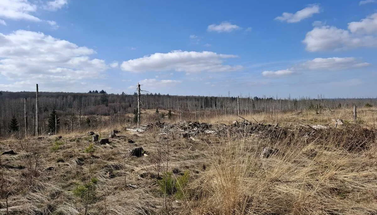 © DAV Sektion Paderborn