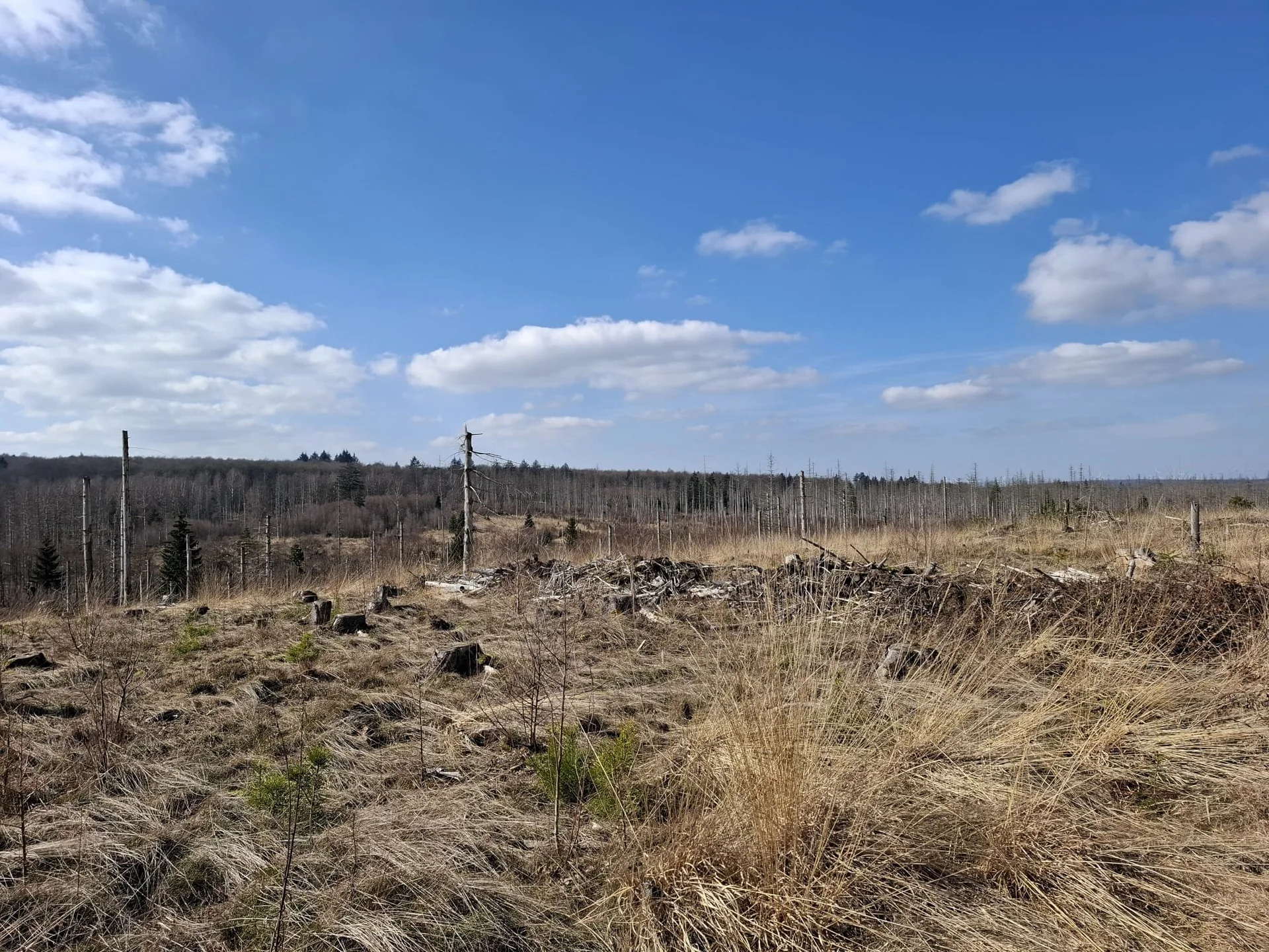 © DAV Sektion Paderborn