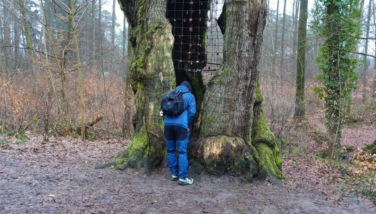 © DAV Sektion Paderborn