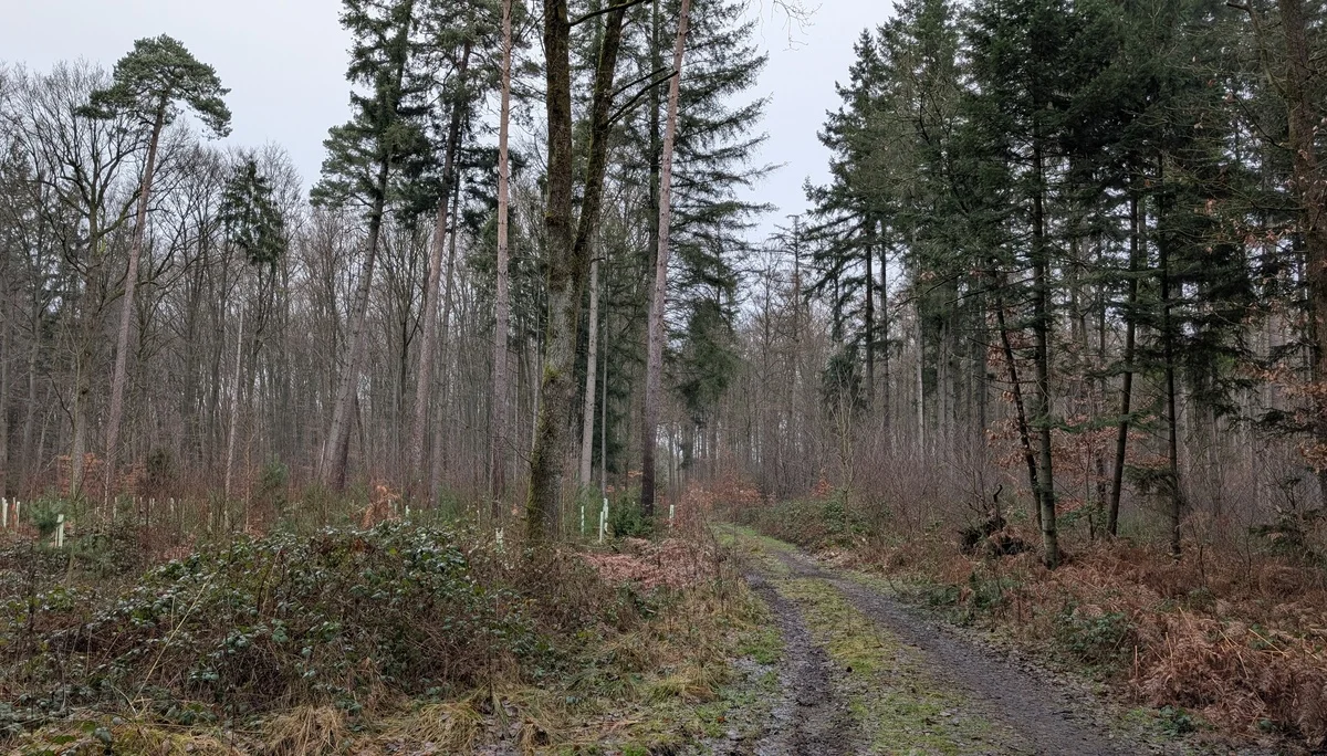 © DAV Sektion Paderborn